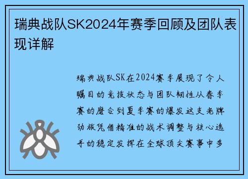 瑞典战队SK2024年赛季回顾及团队表现详解
